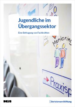 Jugendliche im Übergangssektor. Eine Befragung von Fachkräften